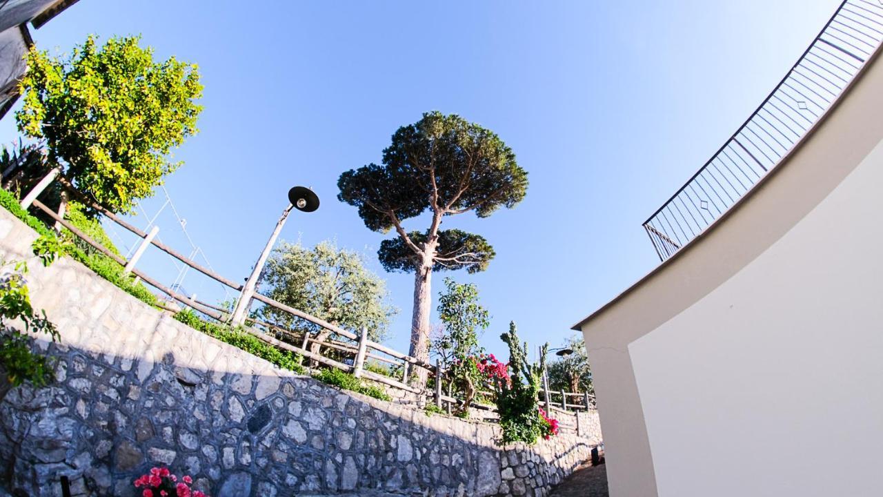 L'Antica Pigna Chateau Вико-Экуенсе Экстерьер фото