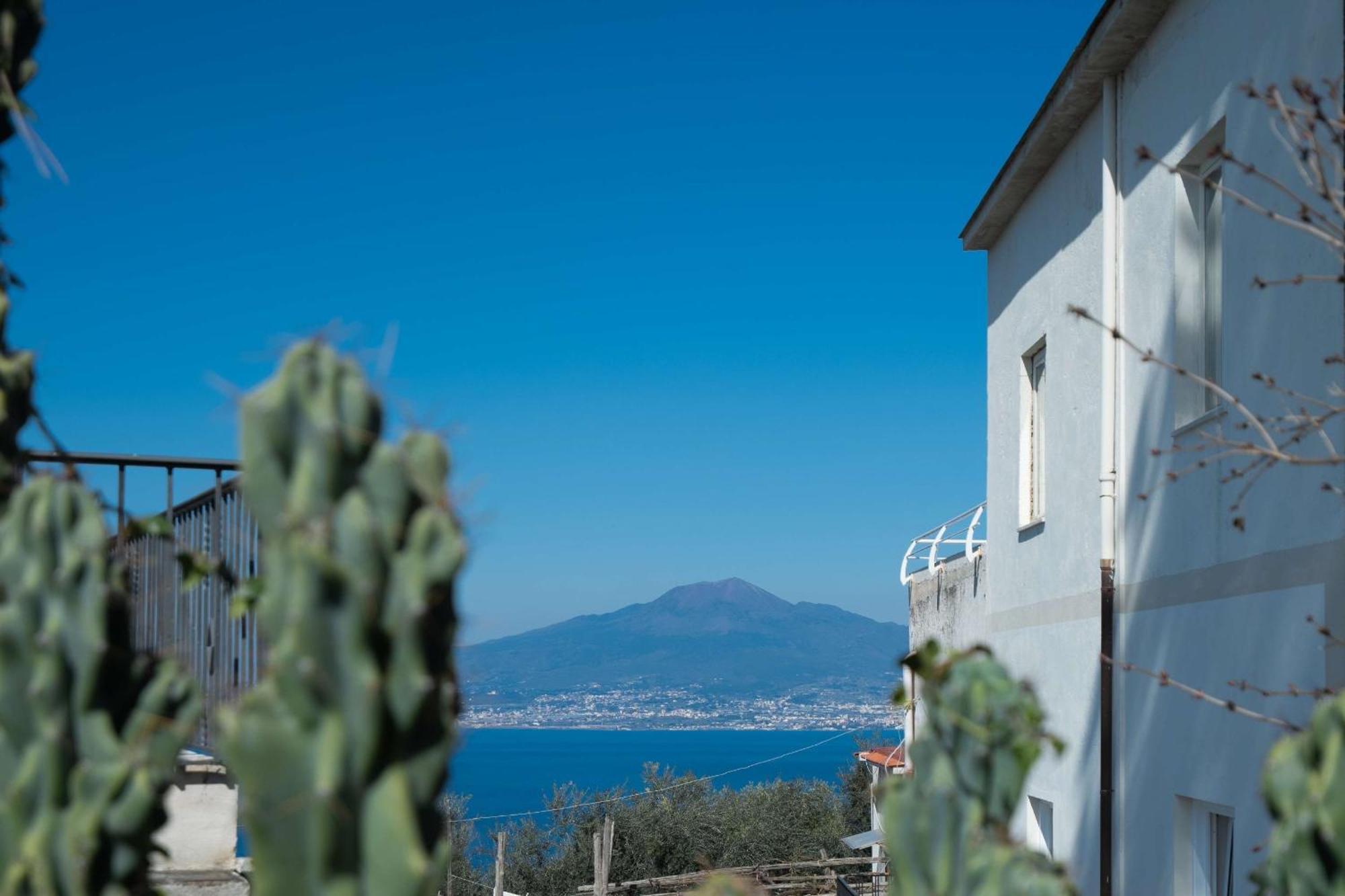 L'Antica Pigna Chateau Вико-Экуенсе Экстерьер фото