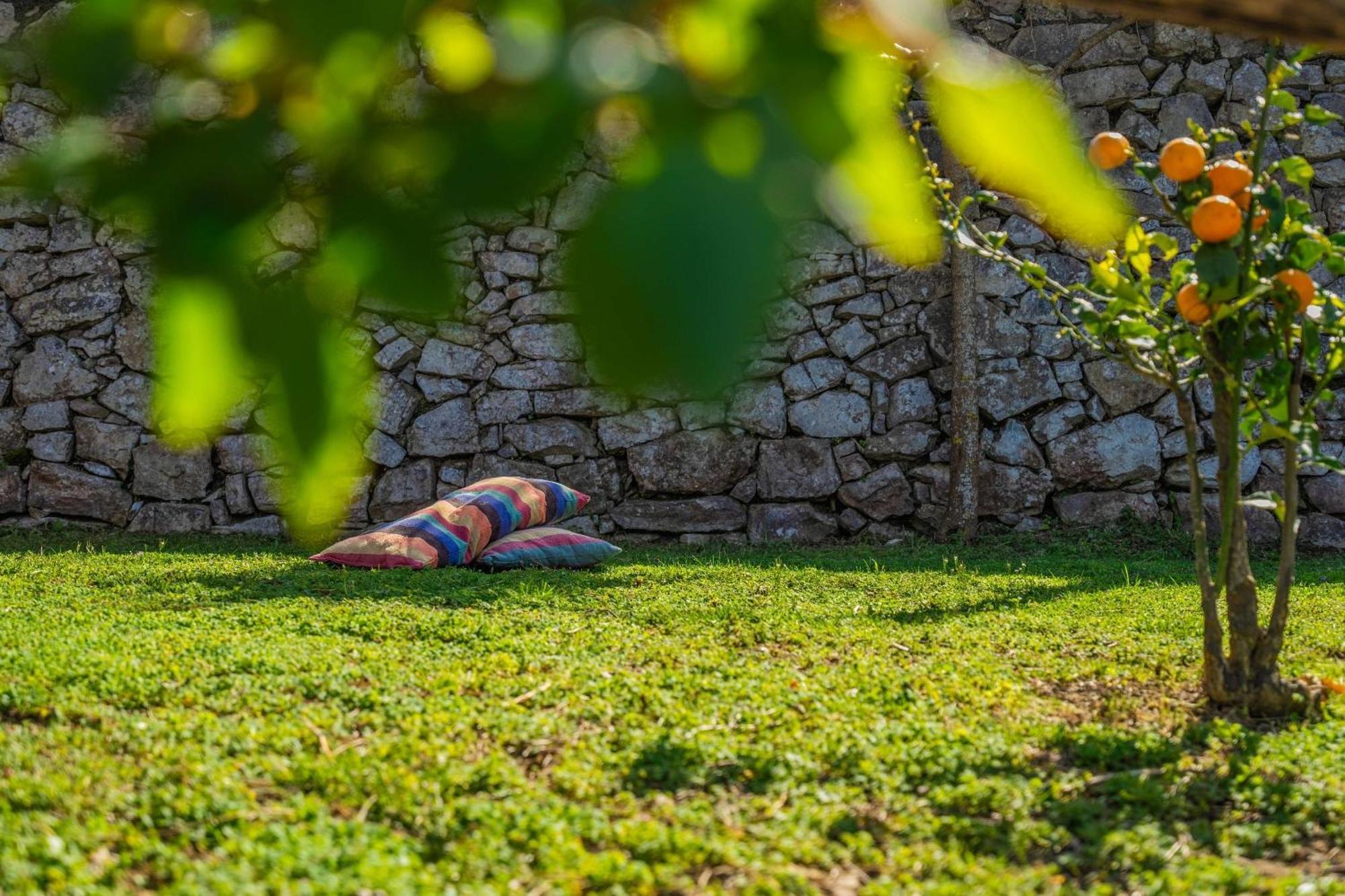 L'Antica Pigna Chateau Вико-Экуенсе Экстерьер фото